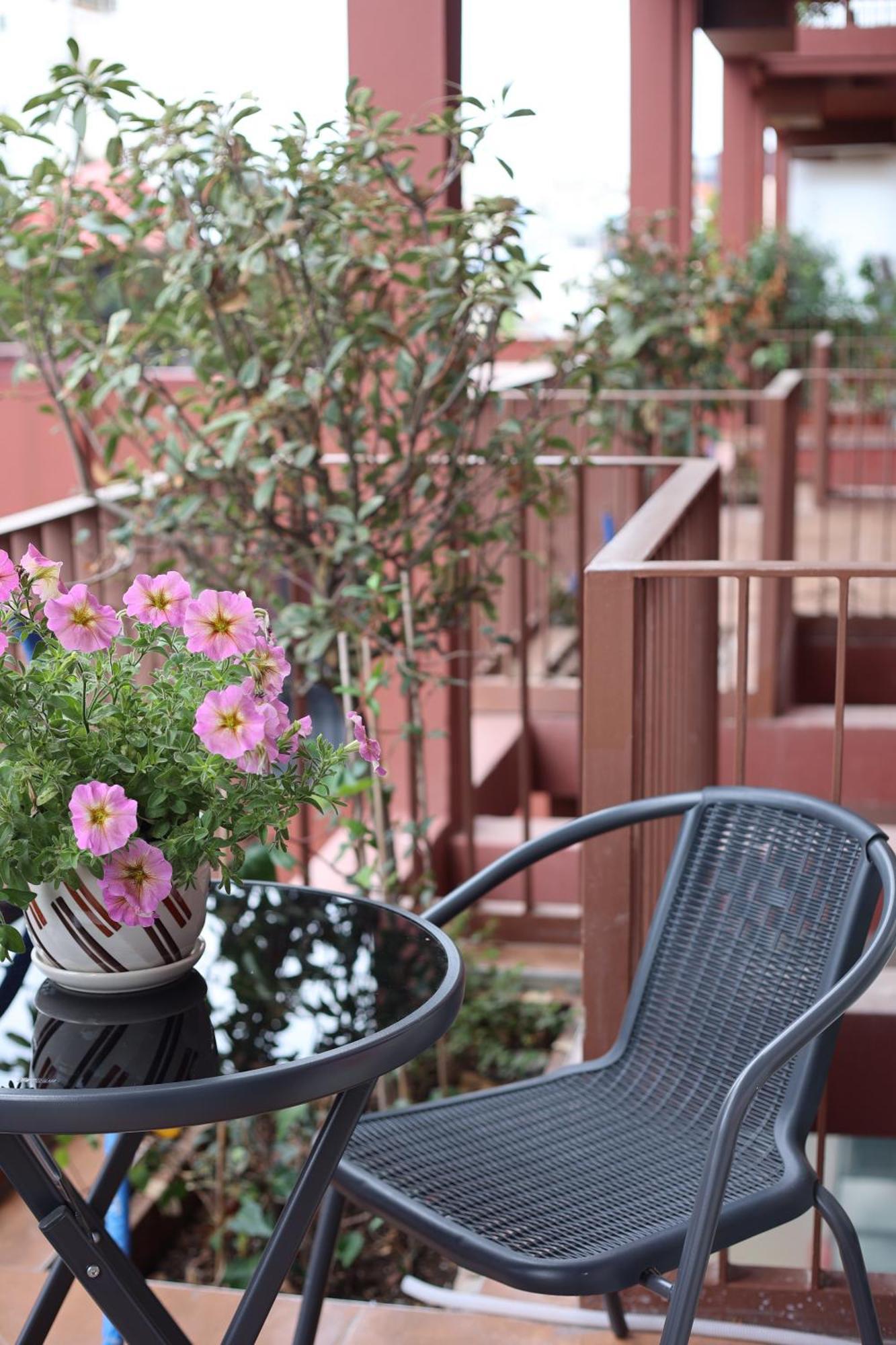 Gardenia Apartament